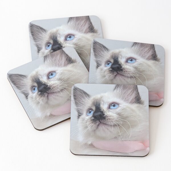 Item preview, Cute ragdoll Mainecoon kitten designed and sold by Fluffycat2020.