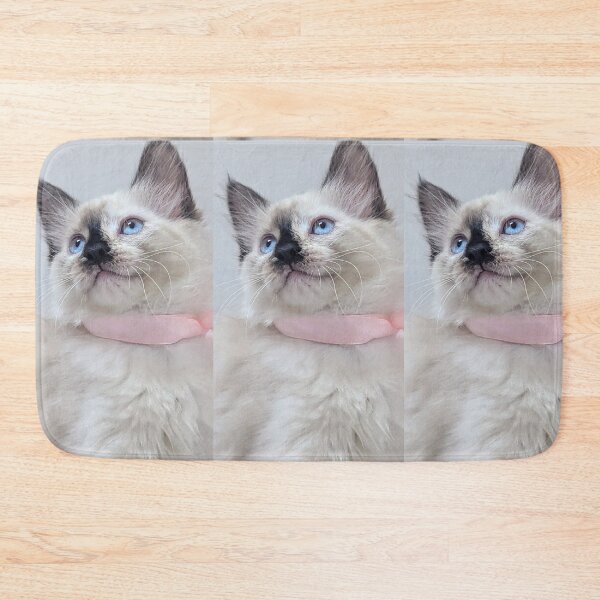Item preview, Cute ragdoll Mainecoon kitten designed and sold by Fluffycat2020.