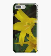 Yellow Tulips iPhone 7 Plus Case
