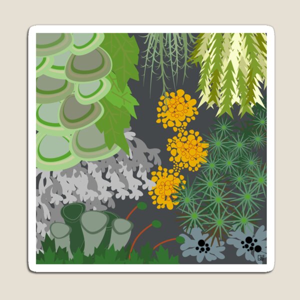 Tettegouche Moss and Lichen Collage Magnet