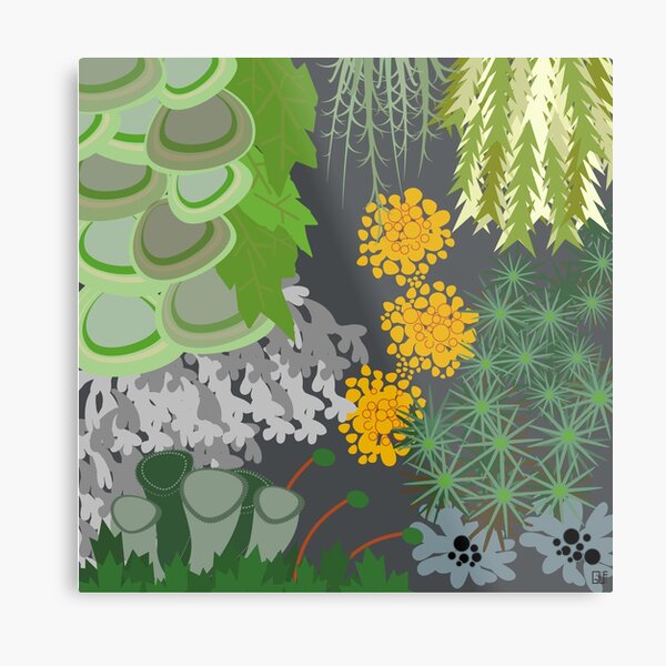 Tettegouche Moss and Lichen Collage Metal Print