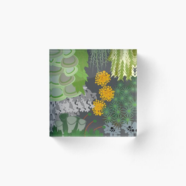 Tettegouche Moss and Lichen Collage Acrylic Block