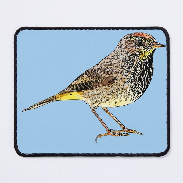 Item preview, Palm Warbler Black Alternate Design  designed and sold by designsasstultd.