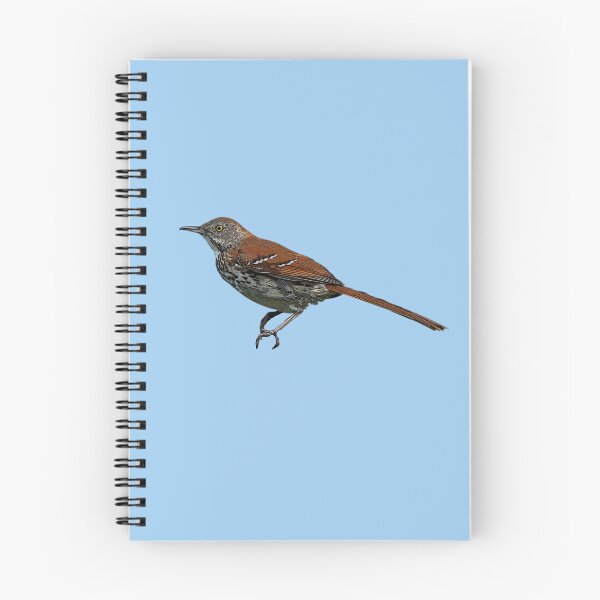 Item preview, Brown Thrasher Color Design  designed and sold by designsasstultd.