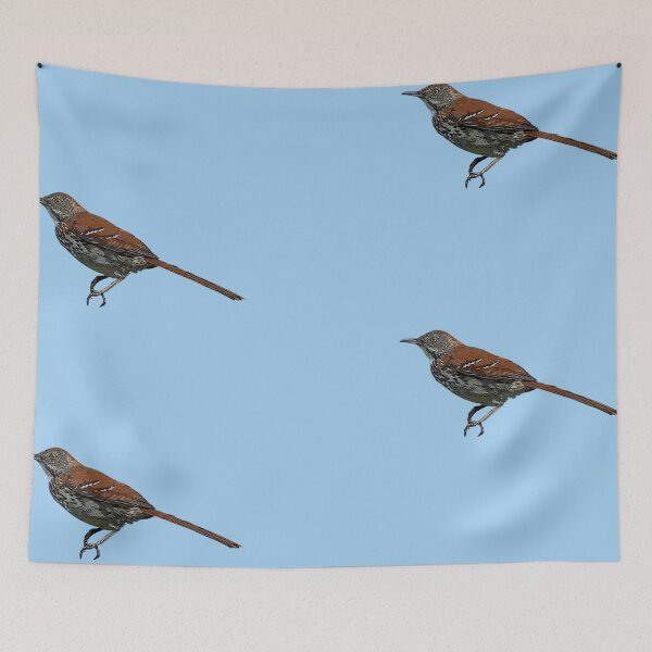 Item preview, Brown Thrasher Color Design  designed and sold by designsasstultd.