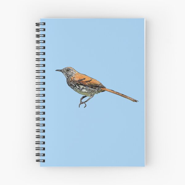 Item preview, Brown Thrasher Black Alternate Design  designed and sold by designsasstultd.