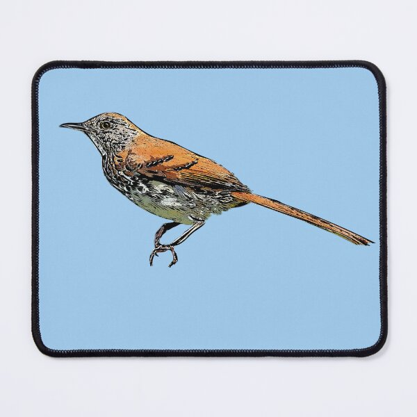 Item preview, Brown Thrasher Black Alternate Design  designed and sold by designsasstultd.
