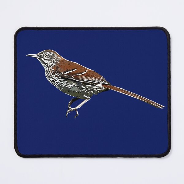Item preview, Brown Thrasher White Alternate Design  designed and sold by designsasstultd.