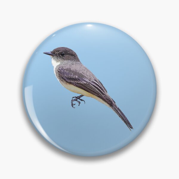 Item preview, Eastern Phoebe Color Design  designed and sold by designsasstultd.