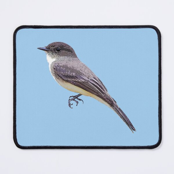 Item preview, Eastern Phoebe Color Design designed and sold by designsasstultd.
