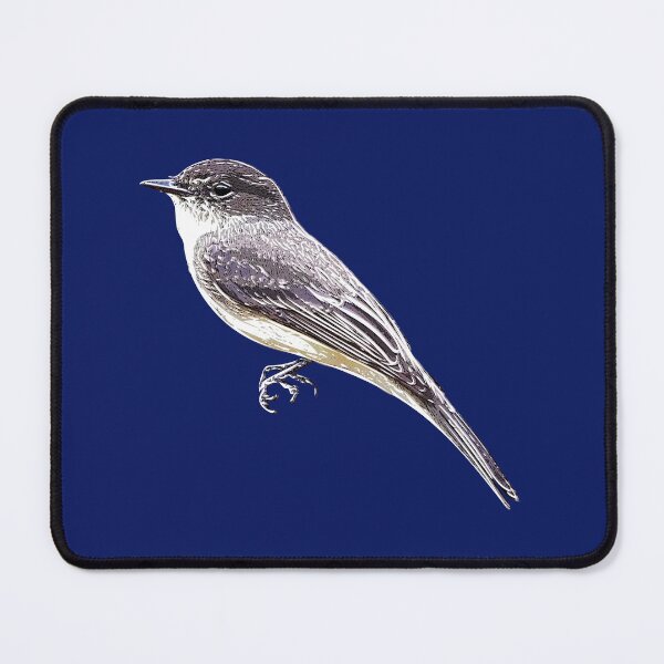 Item preview, Eastern Phoebe White Alternate Design  designed and sold by designsasstultd.