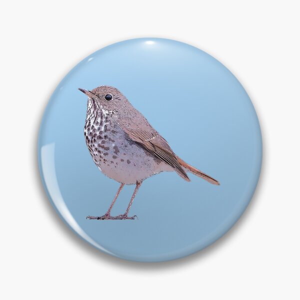 Item preview, Hermit Thrush Color Design  designed and sold by designsasstultd.