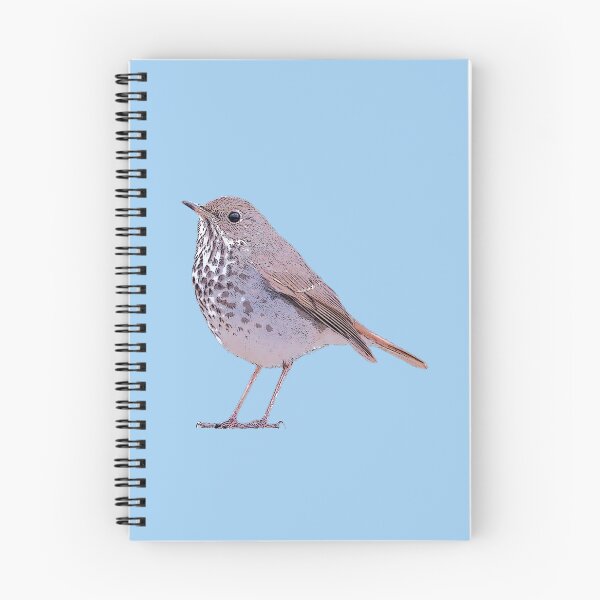 Item preview, Hermit Thrush Color Design  designed and sold by designsasstultd.