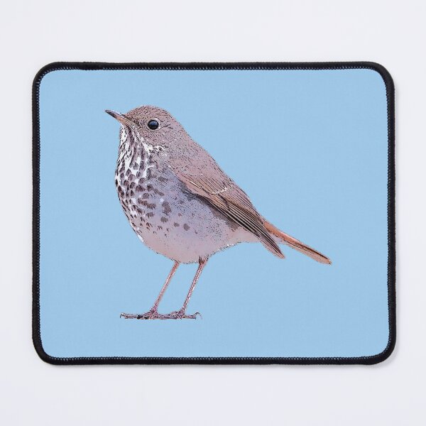 Item preview, Hermit Thrush Color Design designed and sold by designsasstultd.
