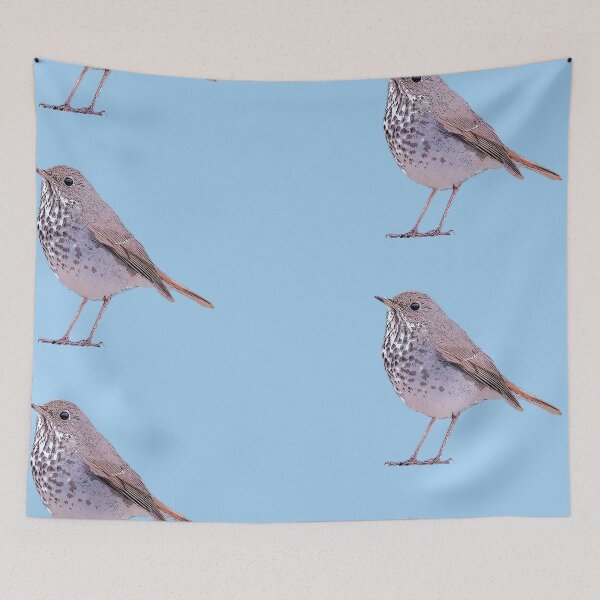 Item preview, Hermit Thrush Color Design designed and sold by designsasstultd.