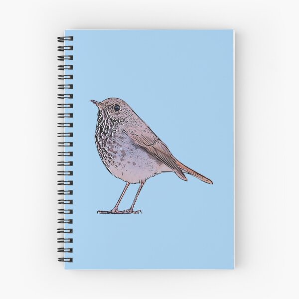 Item preview, Hermit Thrush Black Alternate Design  designed and sold by designsasstultd.