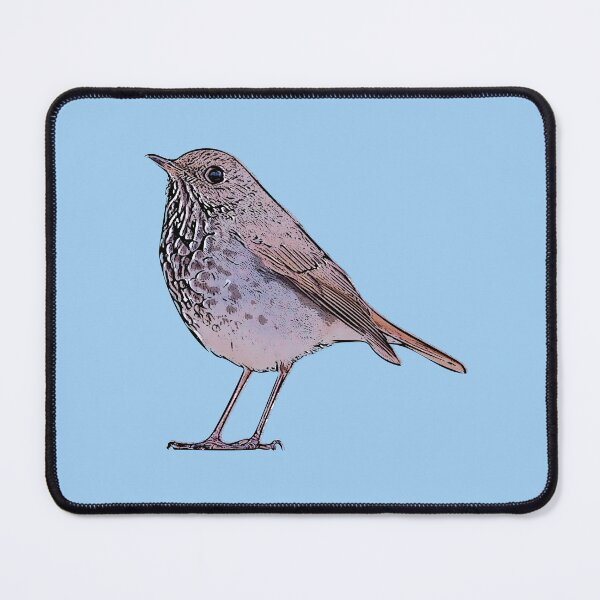 Item preview, Hermit Thrush Black Alternate Design  designed and sold by designsasstultd.