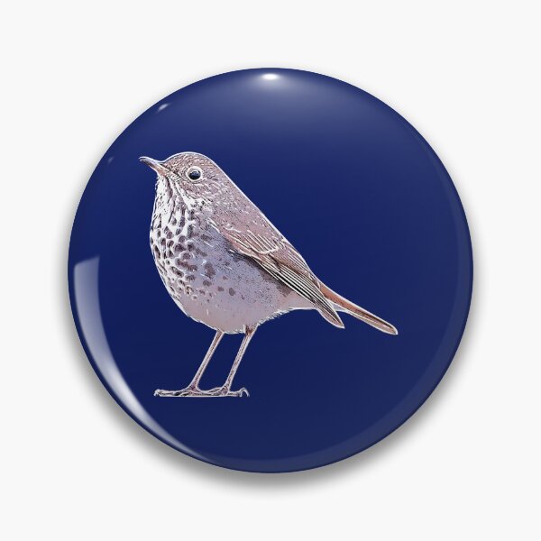 Item preview, Hermit Thrush White Alternate Design  designed and sold by designsasstultd.