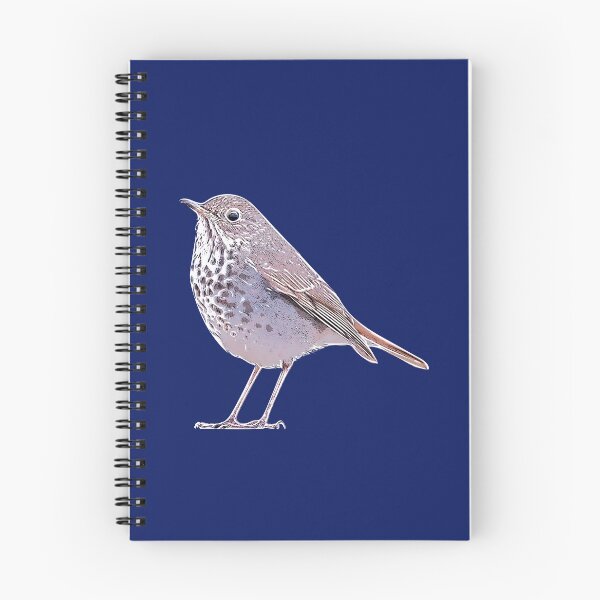 Item preview, Hermit Thrush White Alternate Design  designed and sold by designsasstultd.