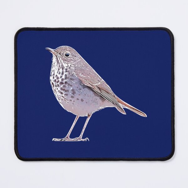 Item preview, Hermit Thrush White Alternate Design  designed and sold by designsasstultd.