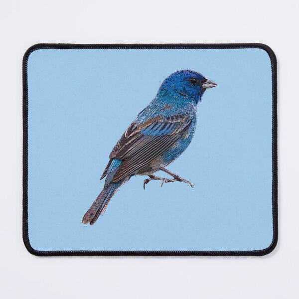 Item preview, Indigo Bunting Color Design designed and sold by designsasstultd.
