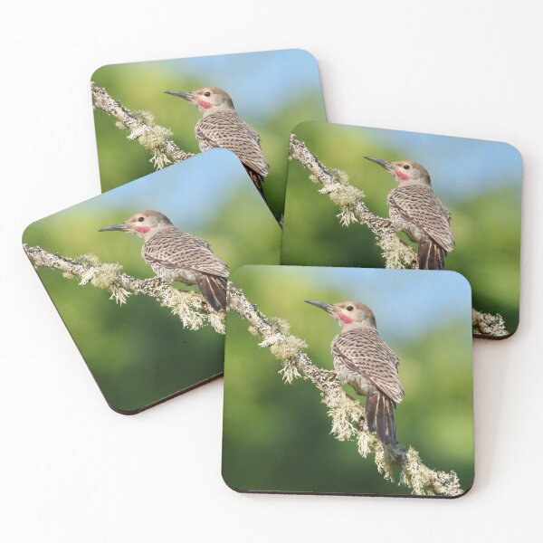 Item preview, Northern Flicker Perched on a Mossy Branch designed and sold by jeasolar.