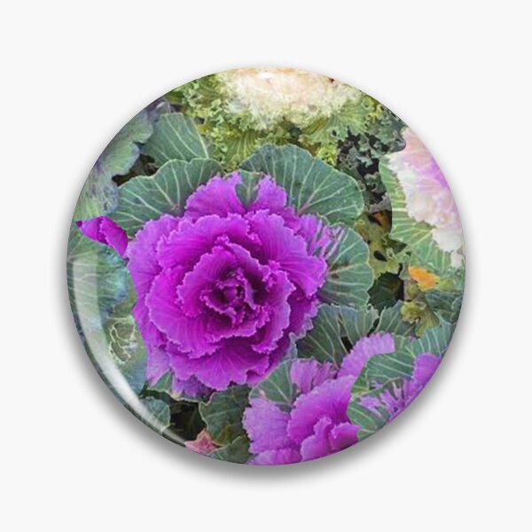 Item preview, FLOWERING CABBAGE ROWS designed and sold by ABEBERMANCHUTE.