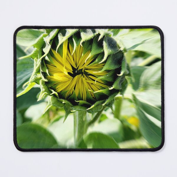 Item preview, Almost there designed and sold by Kathy Bandstra.