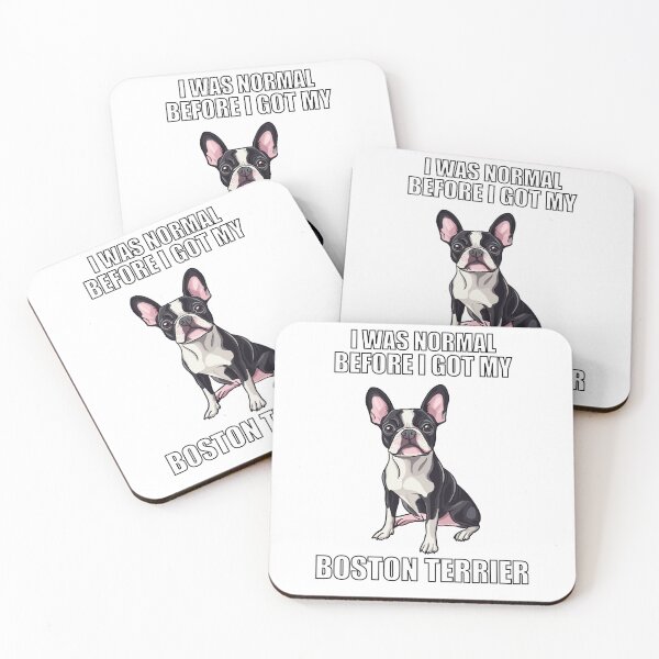 Artikelvorschau, Bevor ich meinen Boston Terrier bekam, war ich normal entworfen und verkauft von Proteinmalac.