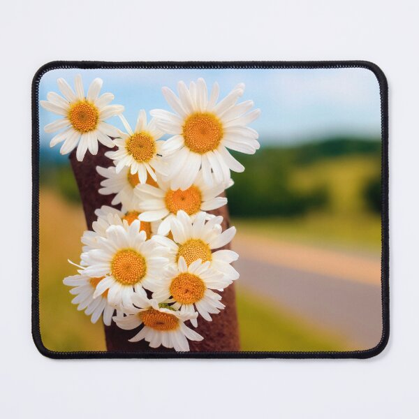 Item preview, Daisies By The Road designed and sold by Jim Love.