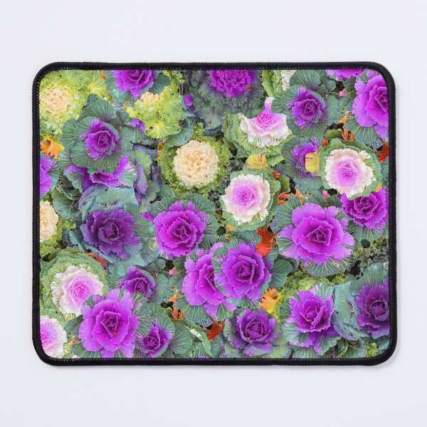 Item preview, FLOWERING CABBAGE ROWS designed and sold by ABEBERMANCHUTE.