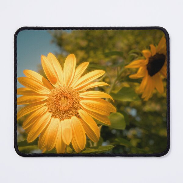 Item preview, Hogging The Spotlight designed and sold by Jim Love.