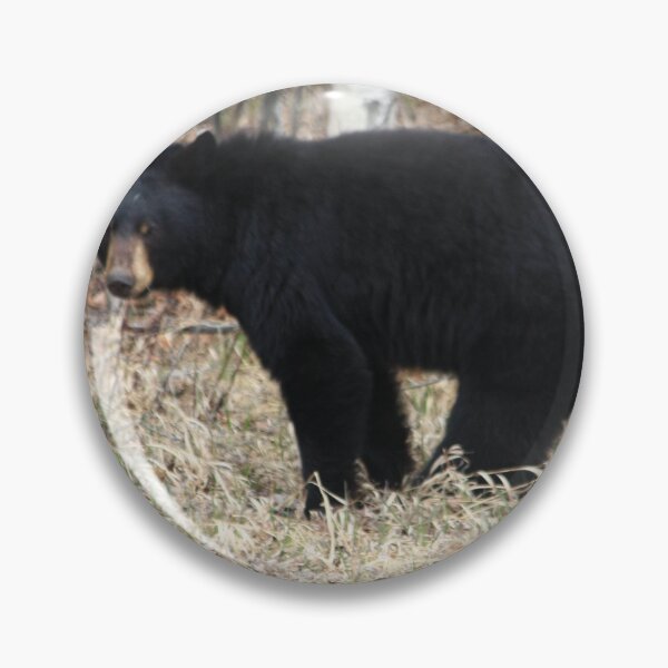Item preview, Black Bear designed and sold by DawnFyfePhotos.