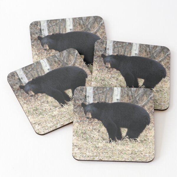 Item preview, Black Bear designed and sold by DawnFyfePhotos.