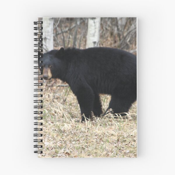 Item preview, Black Bear designed and sold by DawnFyfePhotos.