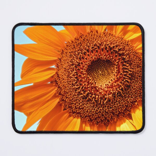 Item preview, Filling The Frame designed and sold by Jim Love.