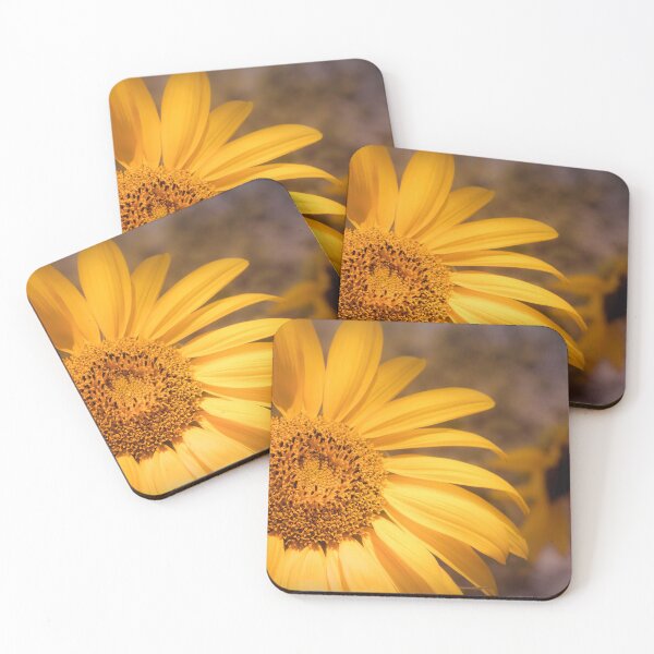 Item preview, Taking Center Stage designed and sold by Jim Love.
