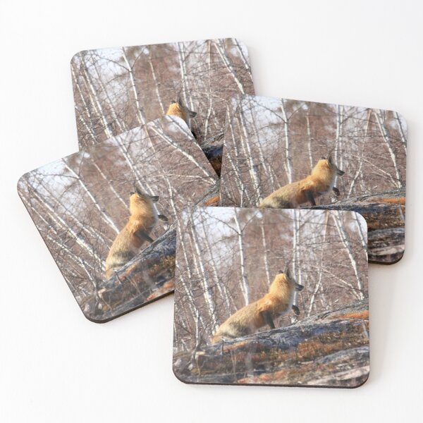 Item preview, Fox on the Move designed and sold by DawnFyfePhotos.