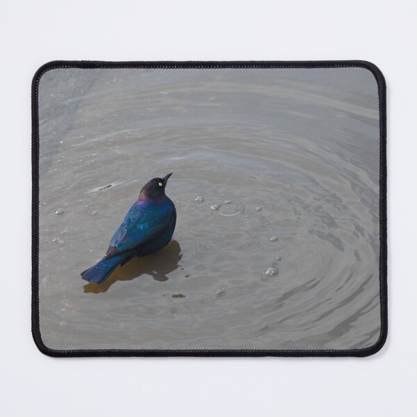Item preview, Solitude of a Bird in Rippled Waters designed and sold by Diego Re.