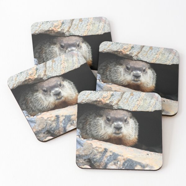 Item preview, Groundhog Day? designed and sold by DawnFyfePhotos.