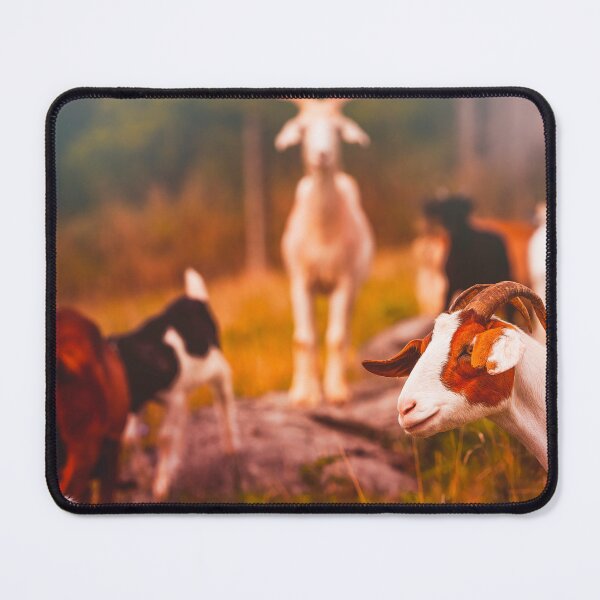 Item preview, Luther Stumbles Into Frame designed and sold by Jim Love.