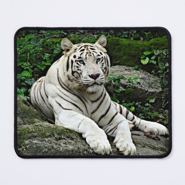 Item preview, Majestic White Tiger Resting in the Jungle designed and sold by Pepe2024.
