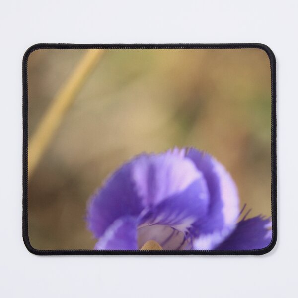 Item preview, Purple Flower Focus designed and sold by DawnFyfePhotos.