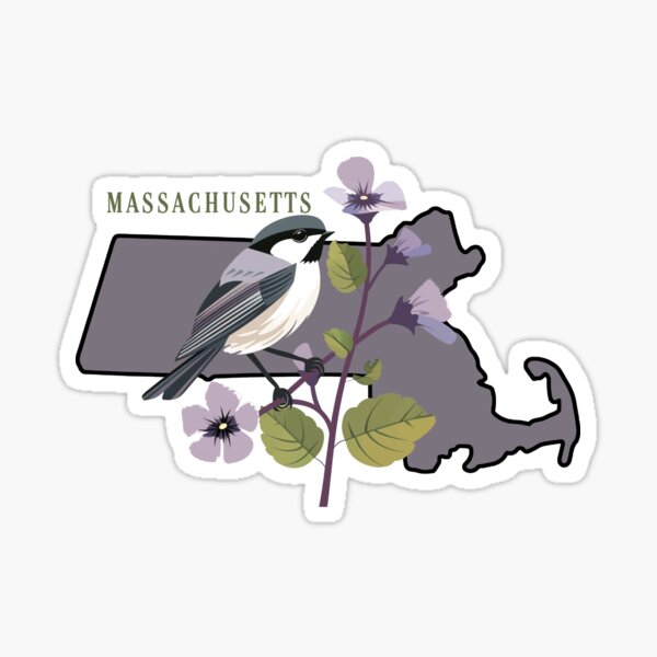 Item preview, Massachusetts State Bird and Flower designed and sold by adventurehaven.