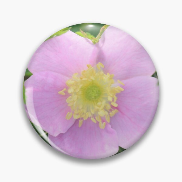 Item preview, Pink flower designed and sold by DawnFyfePhotos.