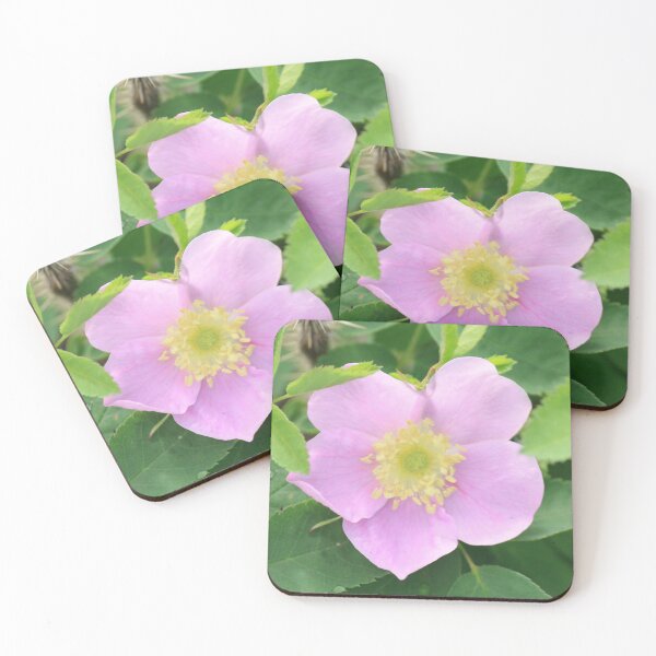 Item preview, Pink flower designed and sold by DawnFyfePhotos.