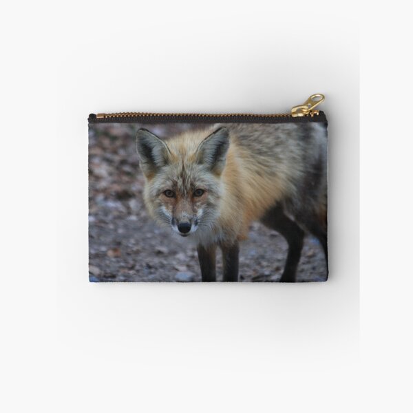 Item preview, i see you designed and sold by DawnFyfePhotos.