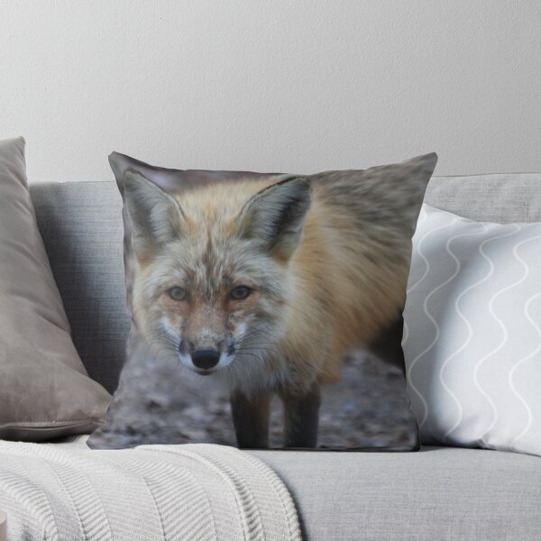 Item preview, i see you designed and sold by DawnFyfePhotos.