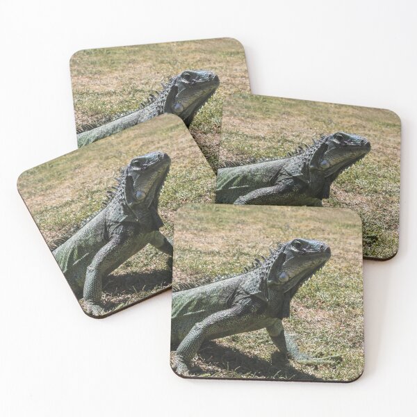 Item preview, Hola, soy Iggy! designed and sold by heatherfriedman.