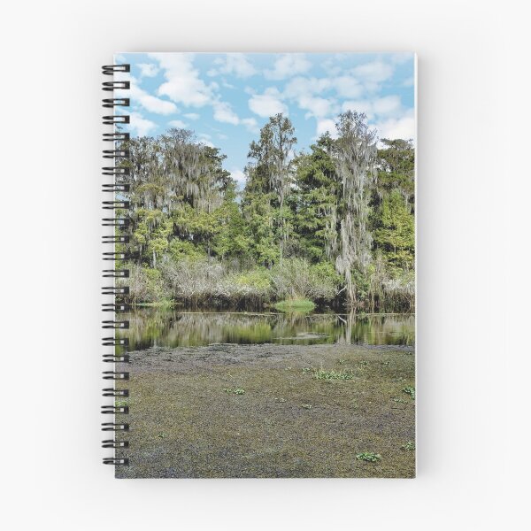 Item preview, Hillsborough River 1 - Florida designed and sold by jtrommer.